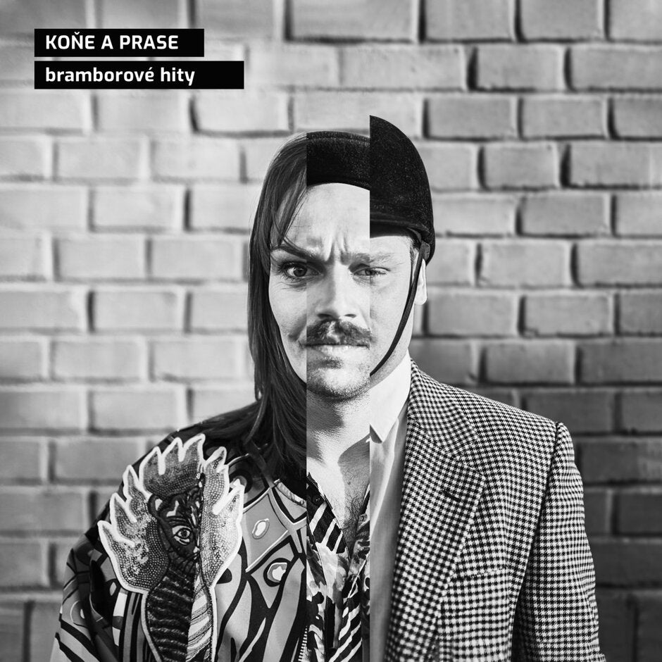 Koňe a prase. Koncert a polepšovna pro děti a rodiče